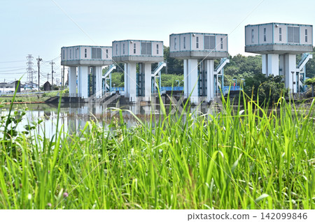 A walk around Iwatsuki: Sueta Suga Weir A walk around Iwatsuki: Sueta Suga Weir 142099846