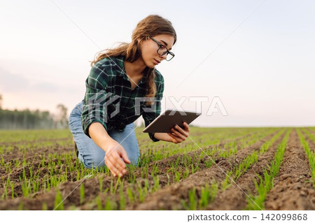 Young female agronomist with a digital tablet in her hands checks young shoots in the field. Young female agronomist with a digital tablet in her hands checks young shoots in the field. 142099868