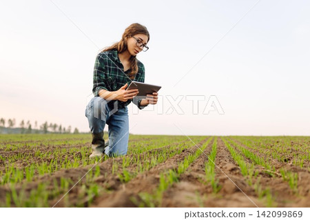 Young female agronomist with a digital tablet in her hands checks young shoots in the field. Young female agronomist with a digital tablet in her hands checks young shoots in the field. 142099869