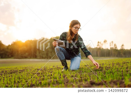 Woman agronomist in a field of young sprouts. Concept of gardening, ecology, tegnology. Woman agronomist in a field of young sprouts. Concept of gardening, ecology, tegnology. 142099872