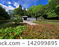 Emperor Sudō's Yashima Mausoleum (Yashima-cho, Nara City, Nara Prefecture) 142099895