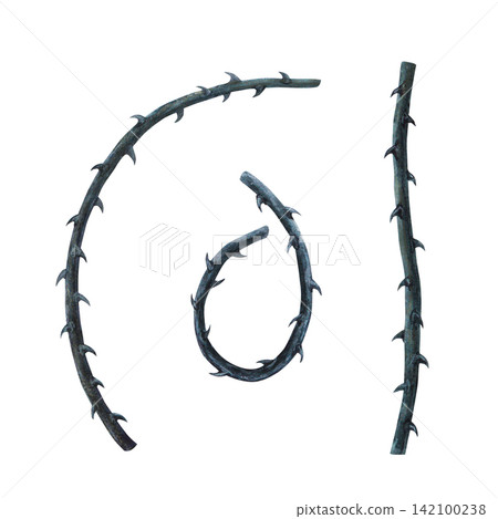 Set Rose stems with thorns, curved and straight, hand drawn watercolor art. A gothic victorian witch craft poison garden shadow aesthetic element for spooky halloween and mystical botanical print Set Rose stems with thorns, curved and straight, hand drawn watercolor art. A gothic victorian witch craft poison garden shadow aesthetic element for spooky halloween and mystical botanical print 142100238