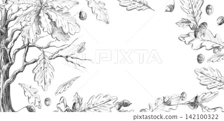 An old oak tree surrounded by falling leaves in a rectangular frame. Pencil illustration for books, postcards, websites, eco-parks, branding, craft beer label designs, and eco-hotel logos. An old oak tree surrounded by falling leaves in a rectangular frame. Pencil illustration for books, postcards, websites, eco-parks, branding, craft beer label designs, and eco-hotel logos. 142100322