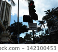One-way sign on a street corner lined with palm trees 142100453