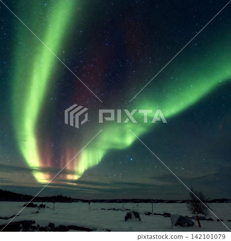 Aurora Aurora 142101079