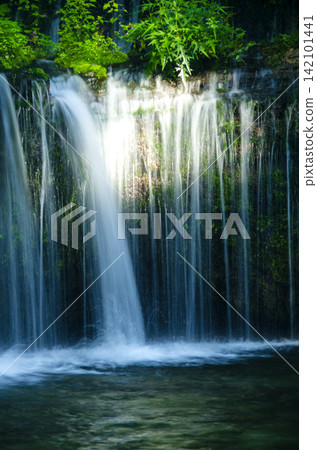 Shiraito Falls, early morning, Karuizawa Shiraito Falls, early morning, Karuizawa 142101441