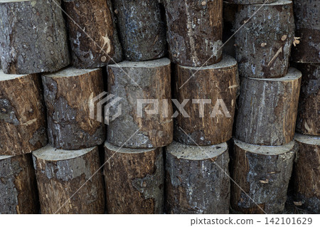 Stack of cut tree logs with rough bark and wood texture Stack of cut tree logs with rough bark and wood texture 142101629