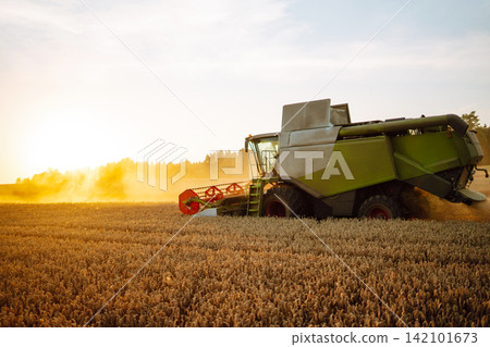 Industrial combine harvester machine reaping gather ripe wheat cereal field meadow on summer day. Industrial combine harvester machine reaping gather ripe wheat cereal field meadow on summer day. 142101673