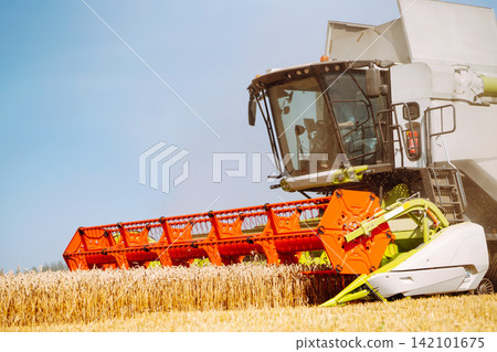 Industrial combine harvester machine reaping gather ripe wheat cereal field meadow on summer day. Industrial combine harvester machine reaping gather ripe wheat cereal field meadow on summer day. 142101675