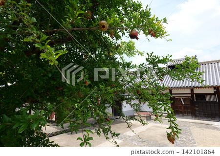 Traditional Historic Street in Nara, Japan with Pomegranate Trees Traditional Historic Street in Nara, Japan with Pomegranate Trees 142101864