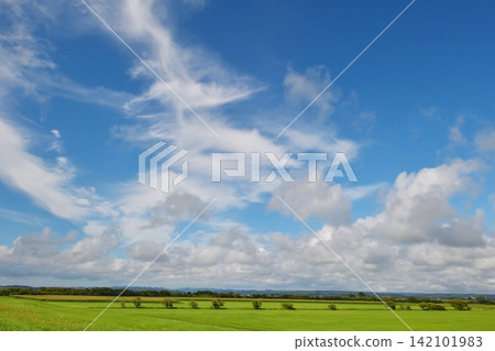 Blue skies and beautiful Hokkaido scenery Blue skies and beautiful Hokkaido scenery 142101983