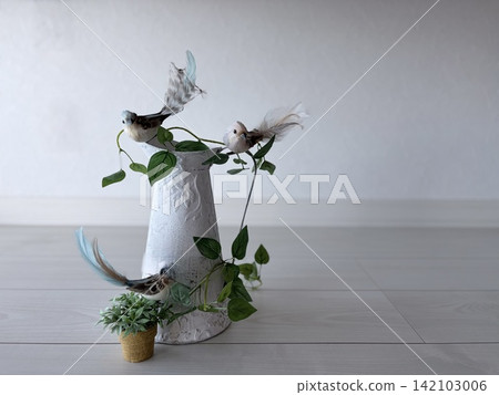 自然風格的室內設計,有鳥和綠植 自然風格的室內設計,有鳥和綠植 142103006