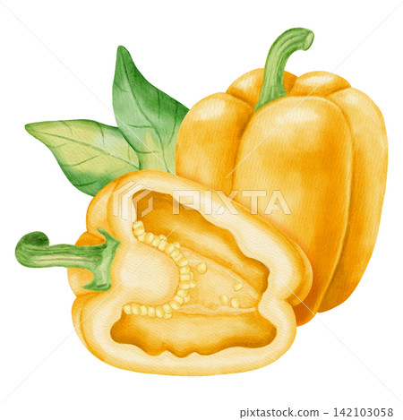 Watercolor illustration, composition with yellow bell pepper. Hand-drawn whole and cut ripe sweet peppers with fresh green leaves. Suitable for kitchen textiles, packaging, harvest, and agriculture 142103058