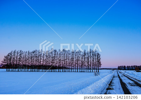 清晨的十勝平原是一片美麗的雪景，遠處日高山脈在晨曦漸變的天空下若隱若現。 142103206