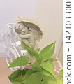 一位天使沉睡在綠植環繞之中 142103300