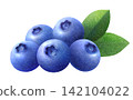 Watercolor illustration of fresh blueberries and leaves 142104022