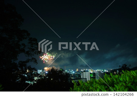 View of the Ashikaga Fireworks Festival from Ashikaga Orihime Shrine 142104266