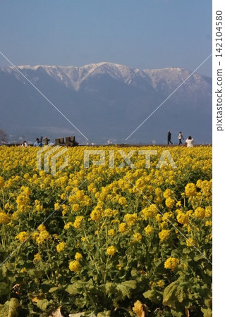 希拉山系統和油菜花 希拉山系統和油菜花 142104580