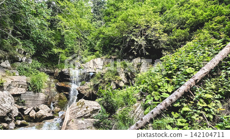 Mountain waterfall flowing through a lush green forest Mountain waterfall flowing through a lush green forest 142104711