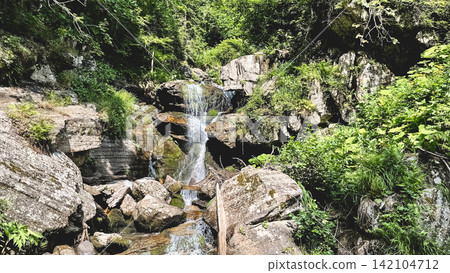 Rocky forest waterfall surrounded by lush green vegetation Rocky forest waterfall surrounded by lush green vegetation 142104712