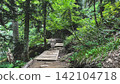 Wooden footbridge through a dense mountain forest 142104718