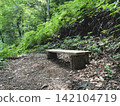 Wooden bench beside a forest hiking trail 142104719