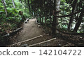 Rope-railed hiking trail through a dense mountain forest 142104722