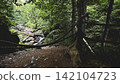 Rope-railed forest trail beside a mountain stream 142104723
