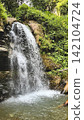 Waterfall cascading through a lush forest landscape 142104724