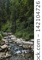 Rocky Forest Stream in Lush Green Woodland 142104726