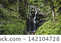Lush Forest Waterfall Surrounded by Green Vegetation 142104728