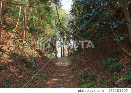 宮城縣山本町坂本城遺址(箕目城遺址)的乾涸護城河 宮城縣山本町坂本城遺址(箕目城遺址)的乾涸護城河 142105205