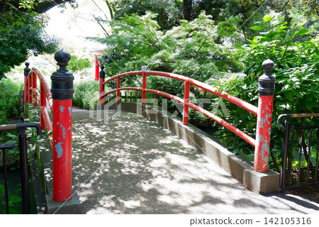 The lush greenery of Senzoku Pond Park and the vermilion drum bridge leading to Benten Island (the approach to Itsukushima Shrine) The lush greenery of Senzoku Pond Park and the vermilion drum bridge leading to Benten Island (the approach to Itsukushima Shrine) 142105316