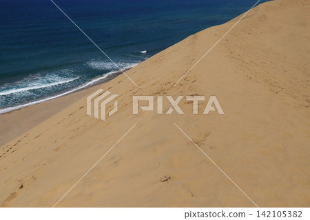 Sand dunes as seen from horseback Sand dunes as seen from horseback 142105382