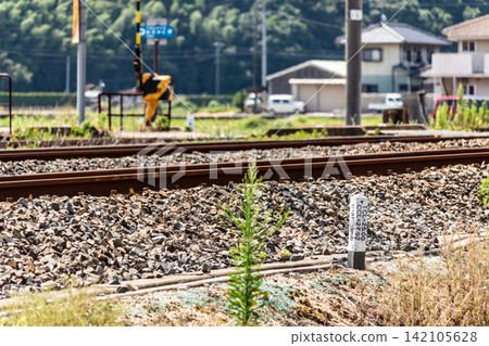 當地鐵路線的夏季景色：平交道和鐵軌（鐵路標誌，長焦鏡頭）。 142105628