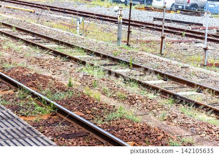 鐵路軌道旁雜草叢生,遍佈道砟(礫石)。 鐵路軌道旁雜草叢生,遍佈道砟(礫石)。 142105635