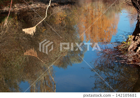 reflection of trees in water reflection of trees in water 142105681