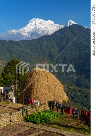 Mountain scenery of Annapurna South and Machhapuchhre as seen from the Mardi Himal trek in Nepal. Mountain scenery of Annapurna South and Machhapuchhre as seen from the Mardi Himal trek in Nepal. 142105786