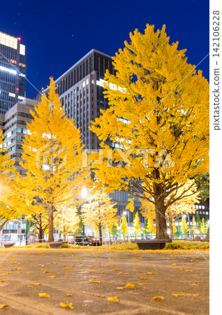 A beautiful illuminated view of the ginkgo trees along Gyoko-dori in Marunouchi. A beautiful illuminated view of the ginkgo trees along Gyoko-dori in Marunouchi. 142106228