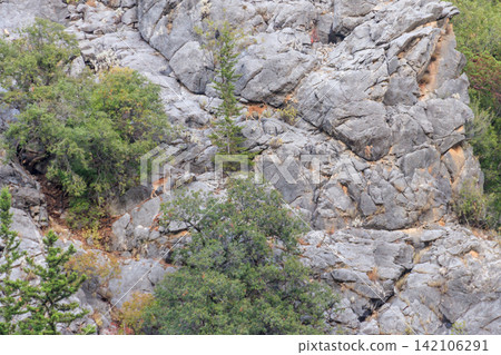Wild mountain goats on a rock in the Taurus mountains in Turkey Wild mountain goats on a rock in the Taurus mountains in Turkey 142106291
