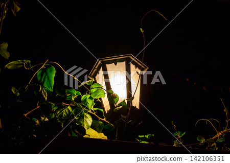 Lighted vintage street lantern at night Lighted vintage street lantern at night 142106351