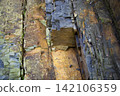 Layered structure of sedimentary rocks. Flysch deposits 142106359