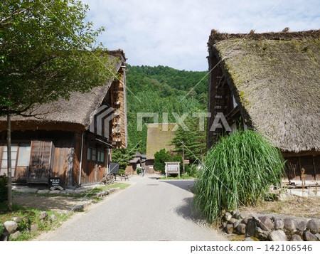 Gassho style house and thatched roof Gassho style house and thatched roof 142106546