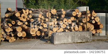 Sale of firewood takes place at a location with stacked logs under sunlight Sale of firewood takes place at a location with stacked logs under sunlight 142106751