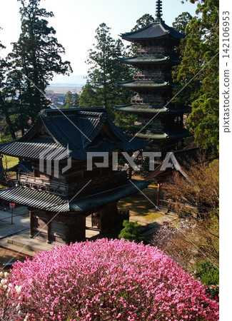 春日禪寶寺:正門與五重塔 春日禪寶寺:正門與五重塔 142106953
