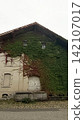 Old house facade covered with green ivy natural eco architecture 142107017