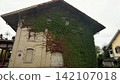 Old house facade covered with climbing ivy natural architecture eco design 142107018
