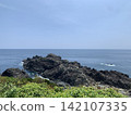 通往大海的珊瑚礁 142107335
