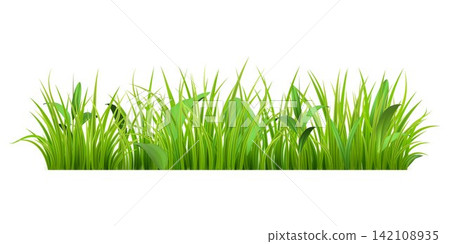 3d grass. Easter green blade plants, leaf vegetation on nature spring field. Garden herb border, summer fresh farm life meadow. Agricultural garden meadow vector icon realistic isolated set 142108935