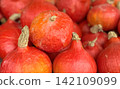 Red kuri pumpkins close view fresh autumn vegetables natural farm product 142109099